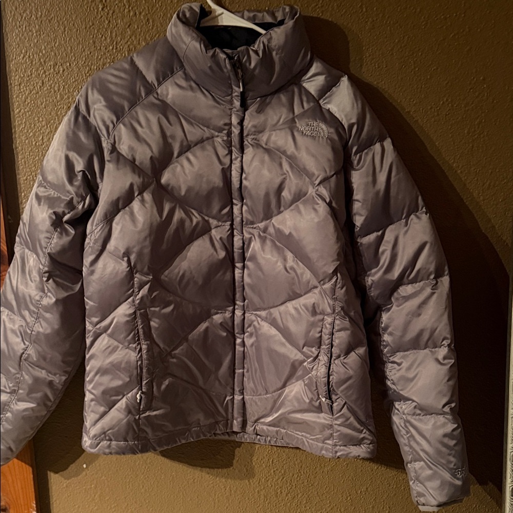 The North Face Silver Puffer Jacket